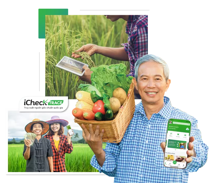 Truy xuất nguồn gốc chuỗi cung ứng