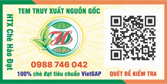 Đối tác