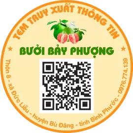 Đối tác
