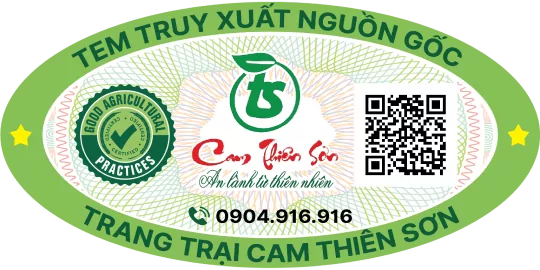 Đối tác