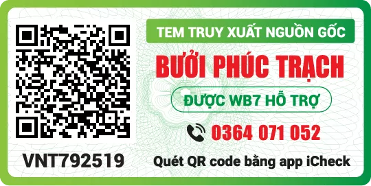 Đối tác
